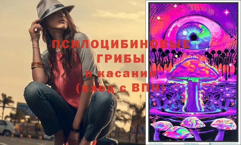 Псилоцибиновые грибы Psilocybe  Медынь 