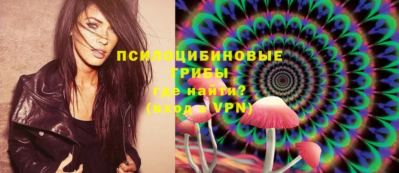 Галлюциногенные грибы Psilocybine cubensis Медынь